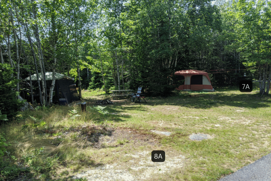 Site 8A