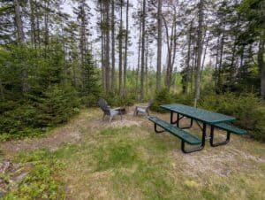 A wooden picnic table set up in the shaded, wooded yard of a rustic vacation cabin rental, highlighting private outdoor dining space at a Deer Isle Stonington campground.