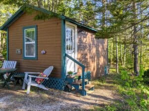Side view of a rustic brown vacation cabin with teal trim, showcasing a white entry door with glass panes, blue-painted steps with potted plants, a gray Adirondack chair with a colorful floral pillow, and the surrounding lush green Maine forest.