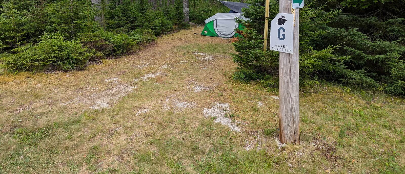 A white wooden post marker for Campsite G, ideal for tents and small RVs in Stonington, Maine. Island camping at its finest