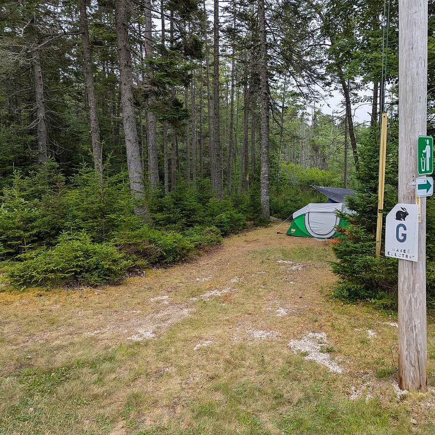 A white wooden post marker for Campsite G, ideal for tents and small RVs in Stonington, Maine. Island camping at its finest