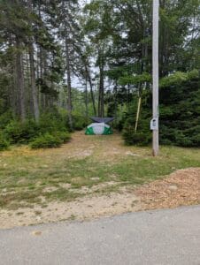 Quiet tent and small RV campsite entrance at Greenlaw's RV Park, bordered by mature pine trees and accessible from the paved park loop