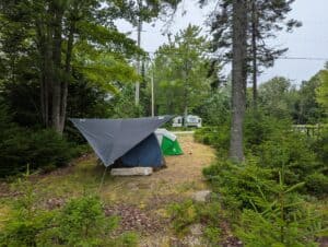 Shaded tent site bordered by dense evergreen trees and young spruce at Greenlaw's RV Park & Campground on Deer Isle, Maine